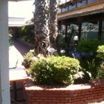 View from ceremony gazebo (undecorated day before wedding)