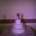 Cake with highlighting (actual lighting was a cool-white, but color was distorted by camera)